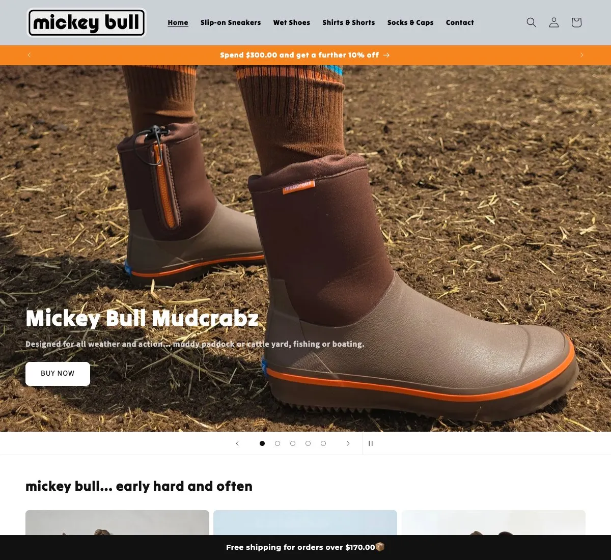 Mickey Bull website